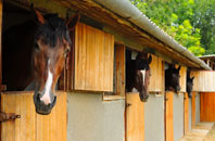 free Bishopsteignton stable construction quotes